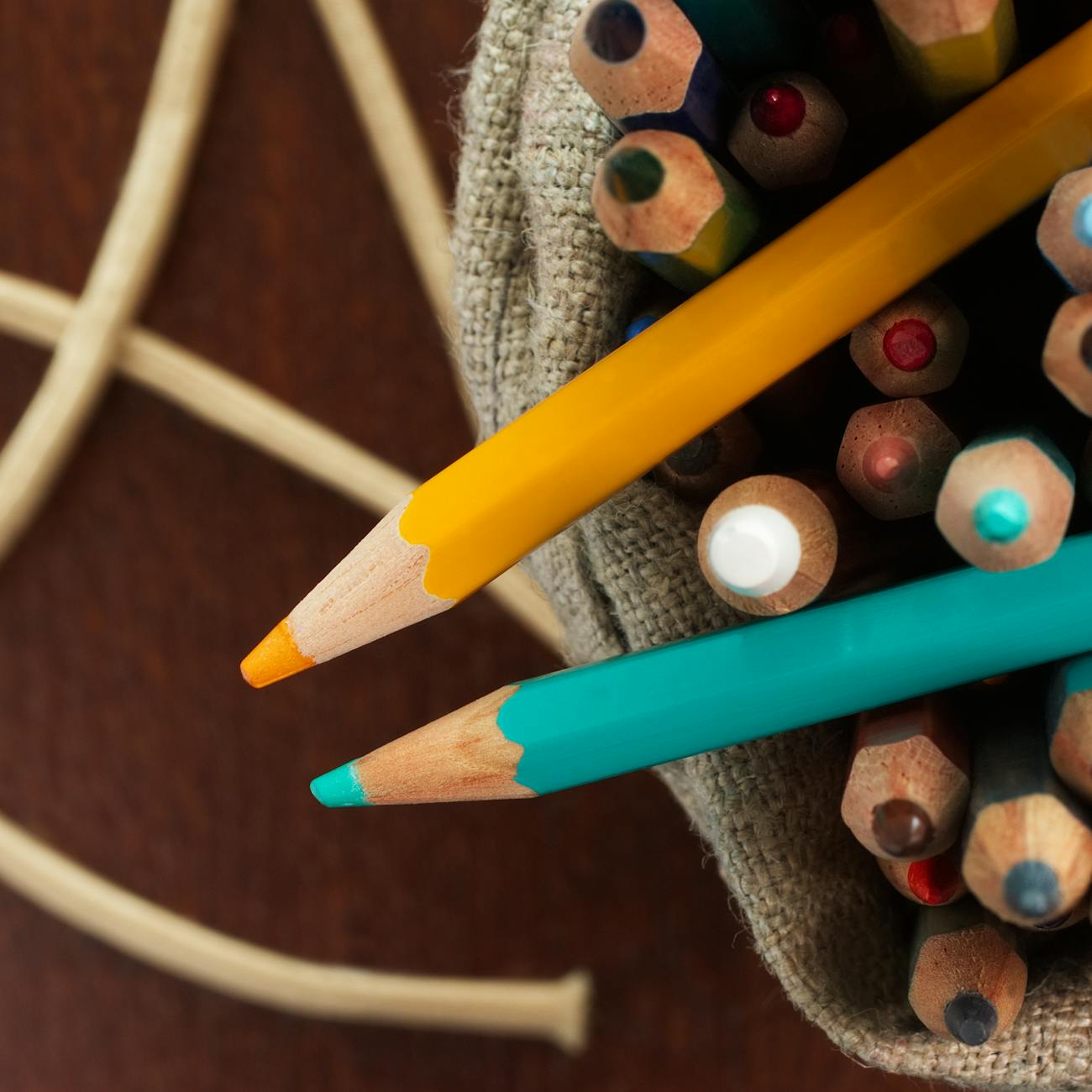 Individualized Education Plans (IEPs)