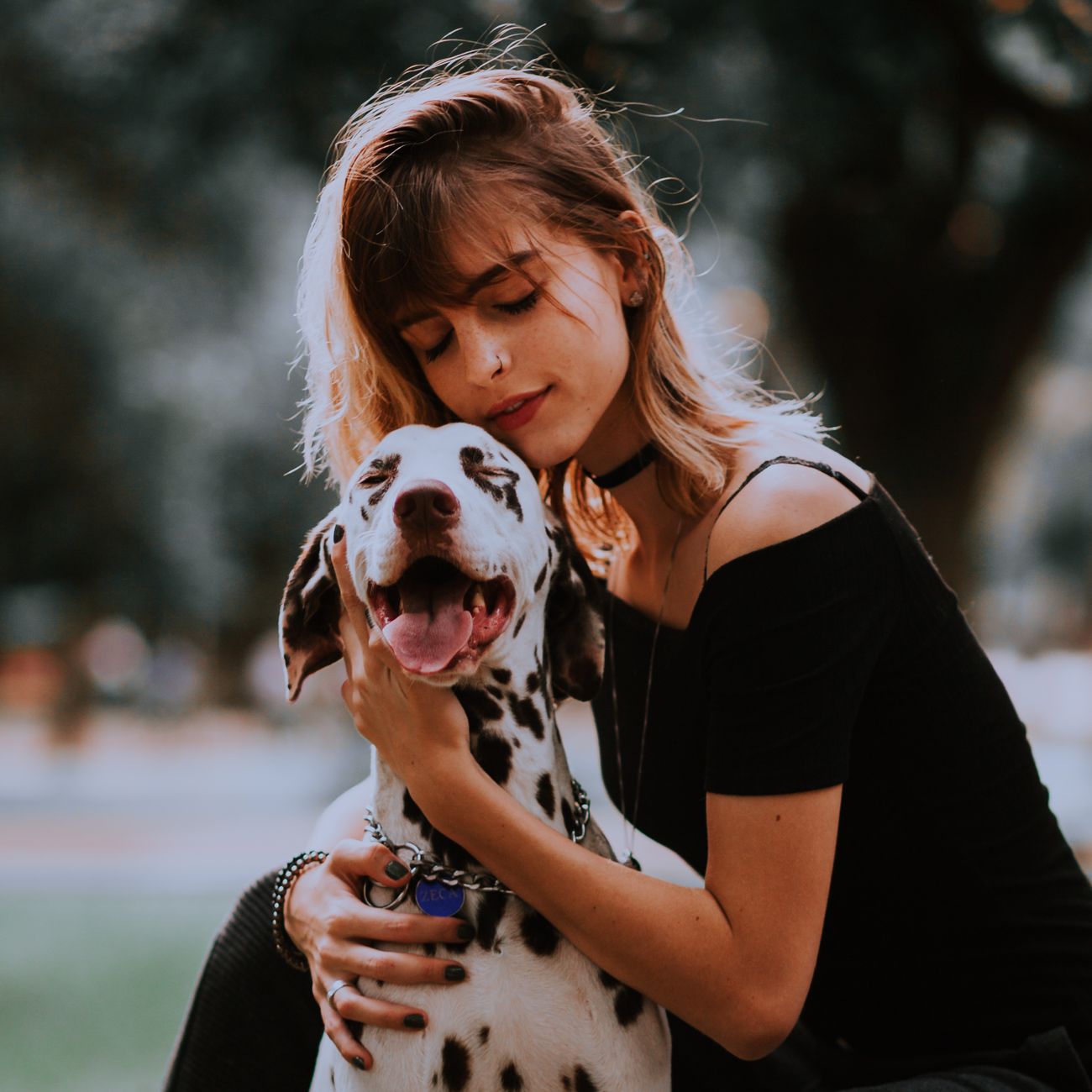 Natural Language Processing in Veterinary Care