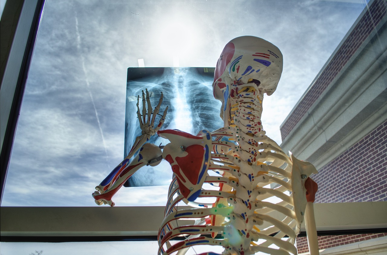 Avian Radiology and Imaging