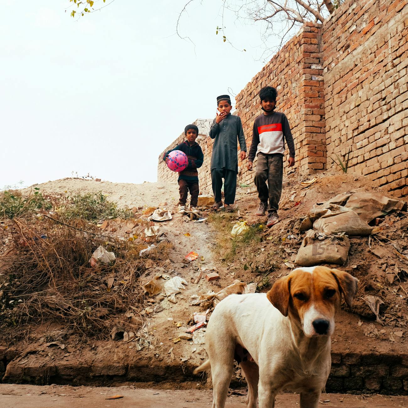Introduction to Humanitarian Crisis Management