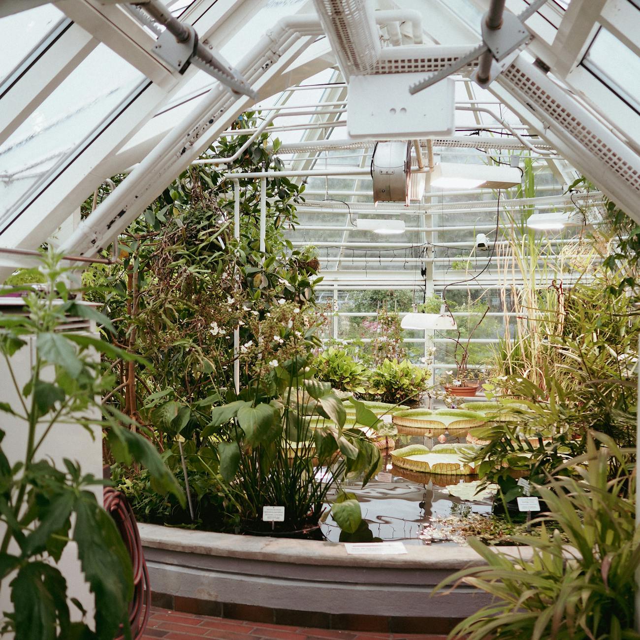 Group Dynamics and Leadership in Horticultural Therapy