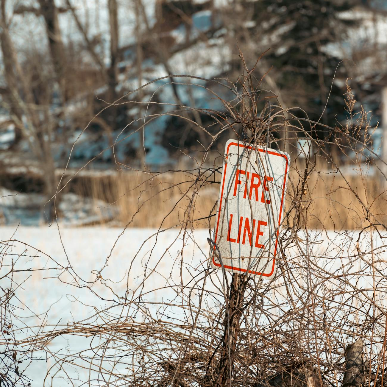 Licensing and Permitting Requirements