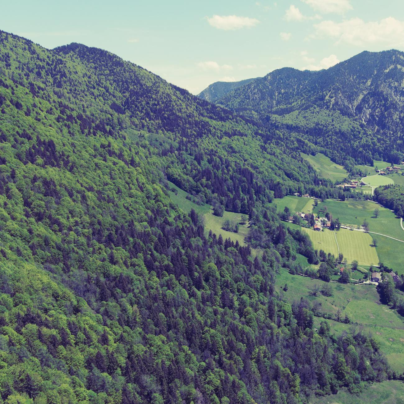 Deep Learning for Biodiversity Monitoring