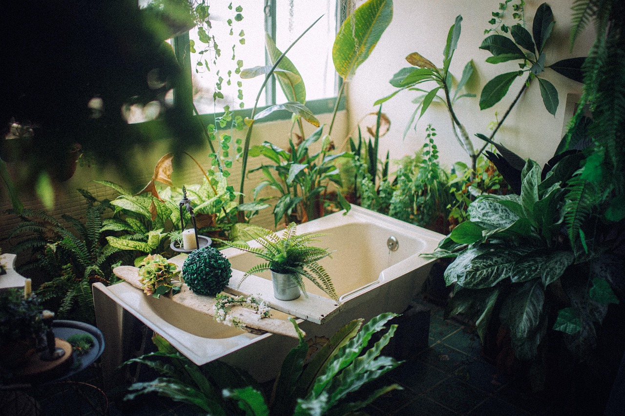 Indoor Air Quality