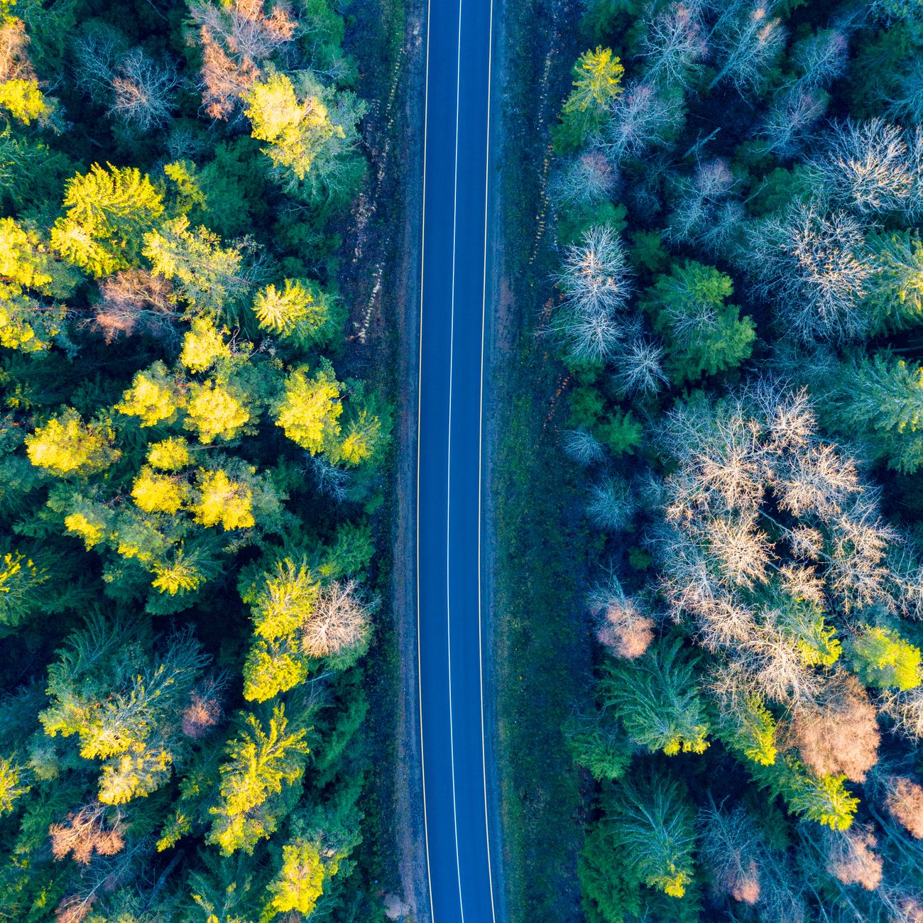 Emerging Risks and Trends