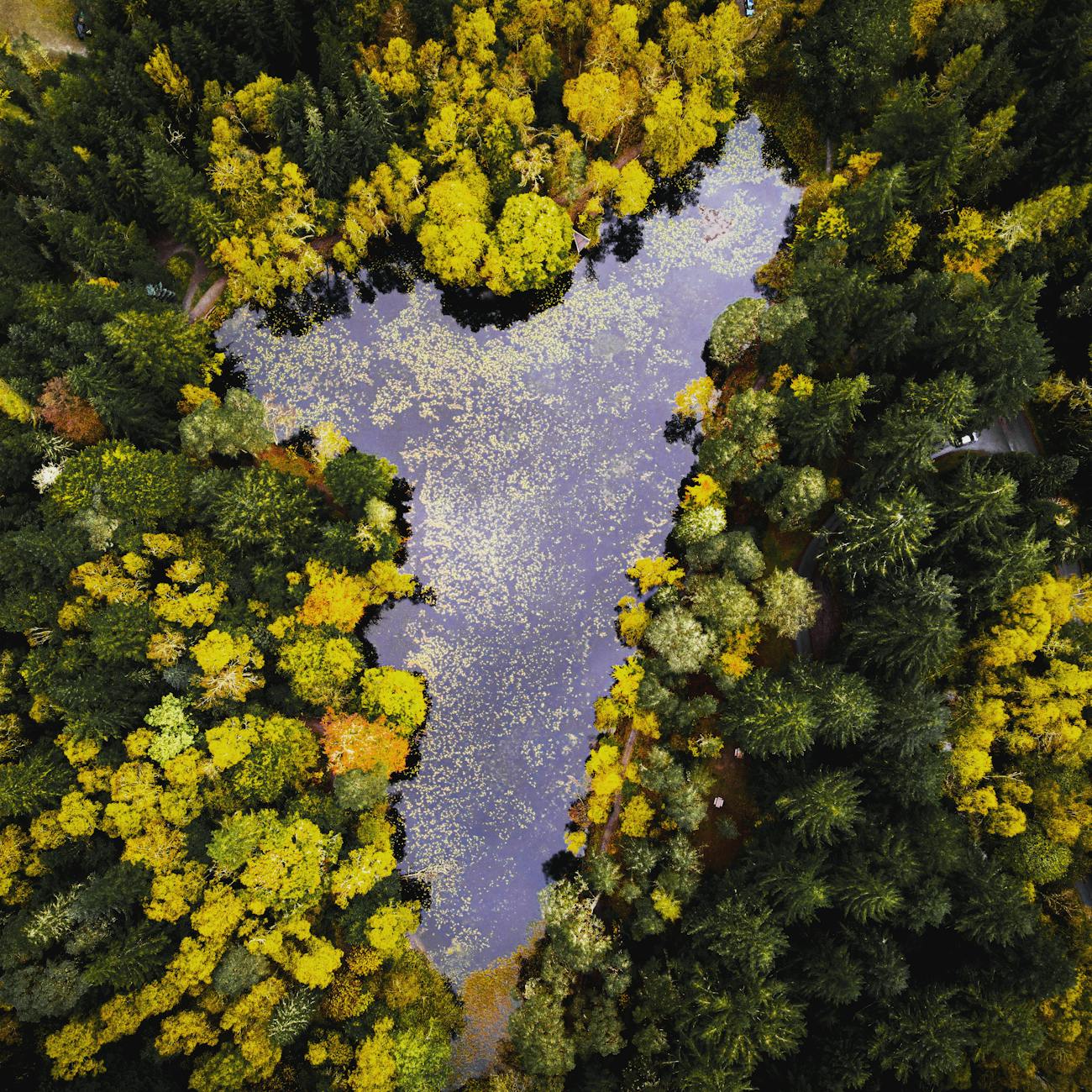 Deep Learning Applications in Biodiversity Conservation