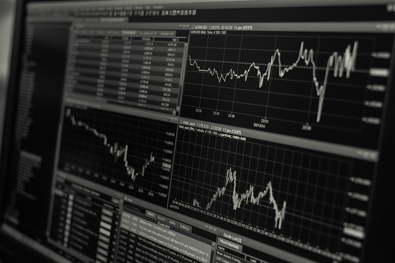 Spatial Data Analysis for Disaster Risk Reduction