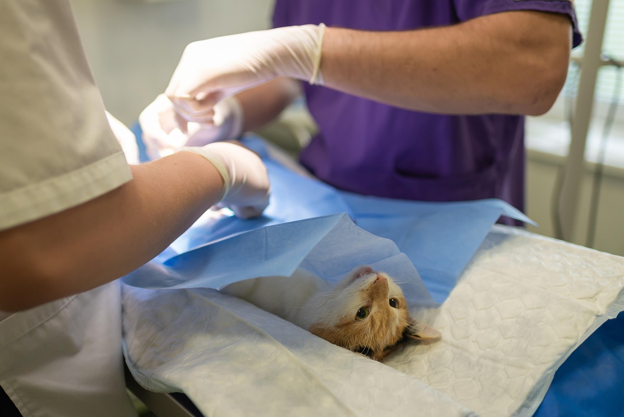 Sterilization Technologies