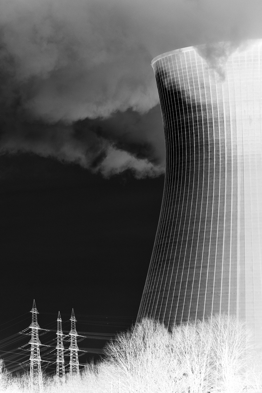 AI Integration in Nuclear Fuel Management