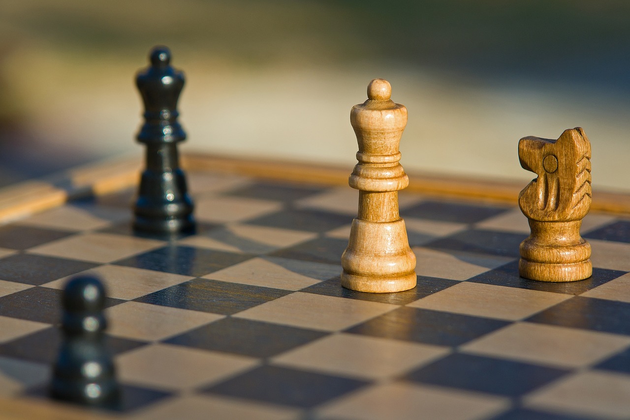 IP Litigation