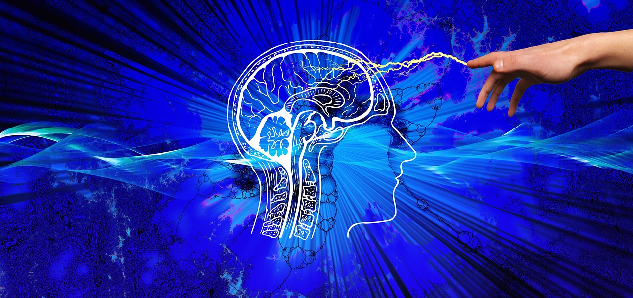 The Gut-Brain Connection
