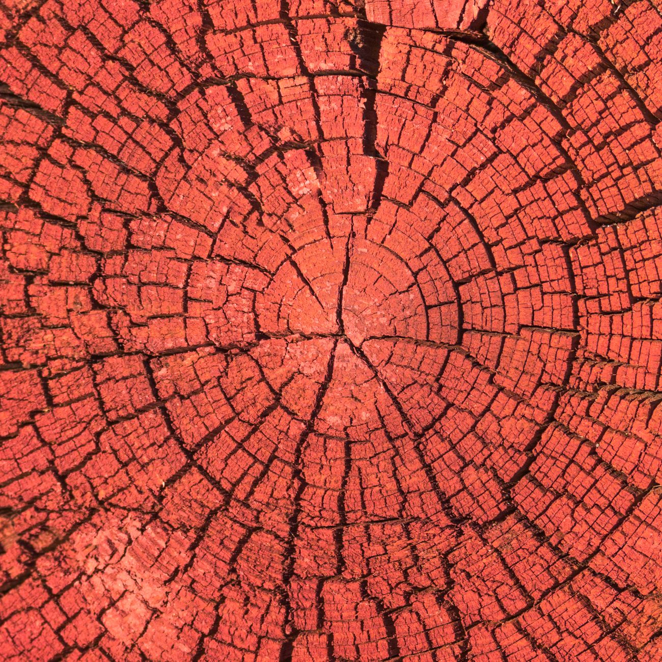 Root Cause Analysis