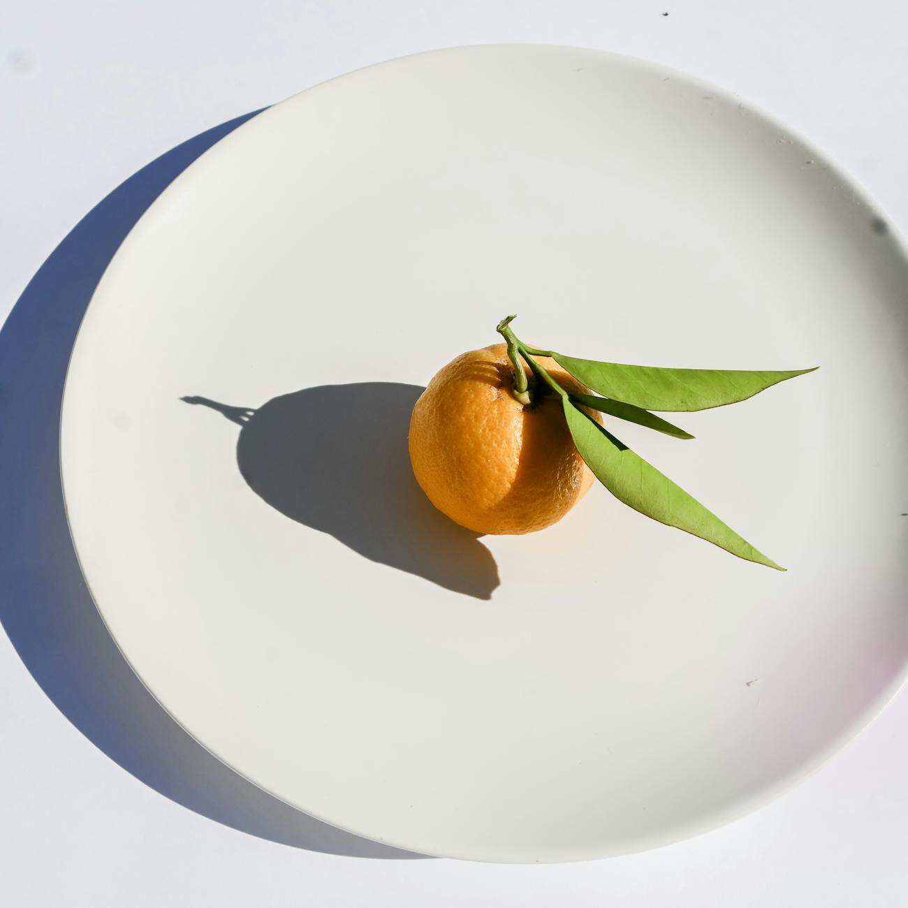 Mindful Eating and Stress Management