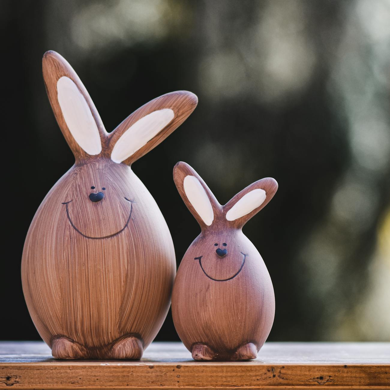 Herbal Remedies for Reproductive Disorders in Rabbits