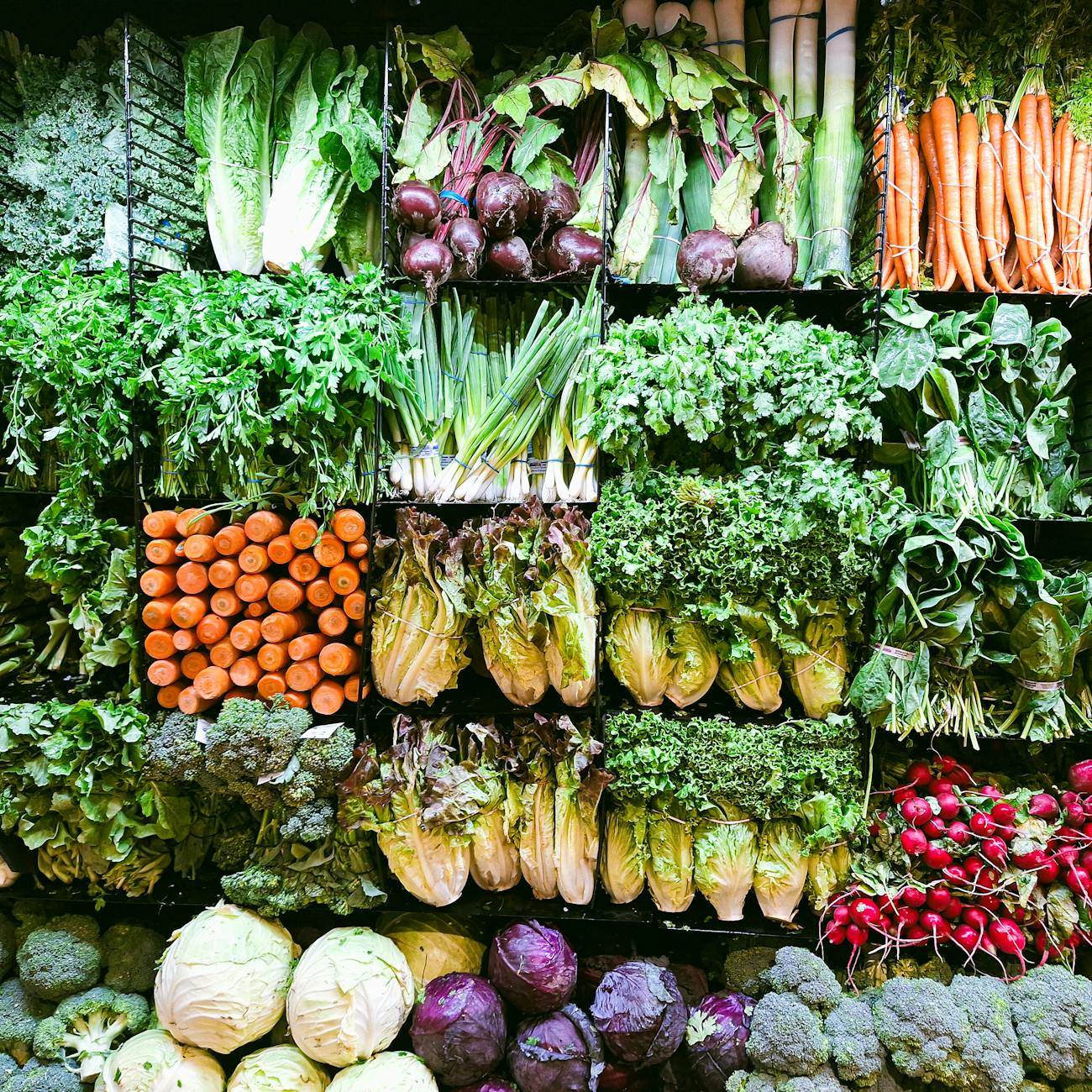 Nutritional Considerations in Orthogeriatrics