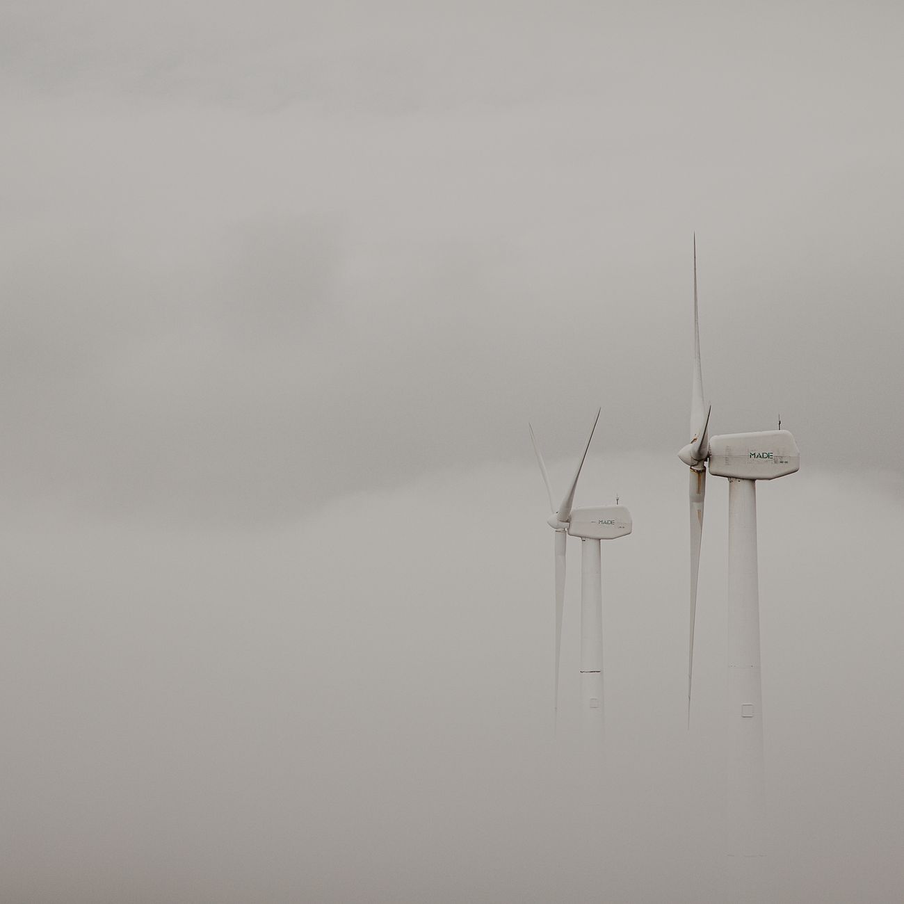 Ethics and Sustainability in Business