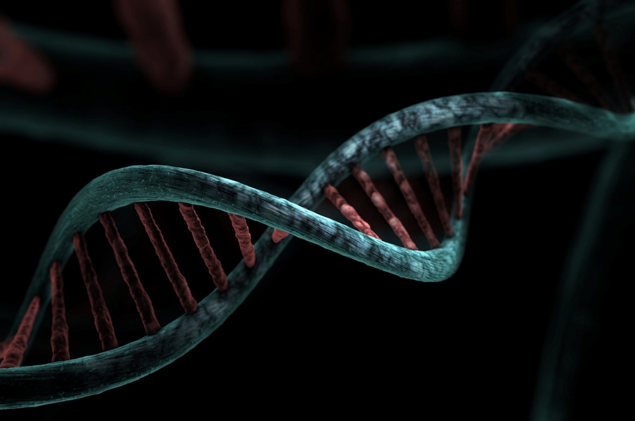 Functional Genomics in Livestock