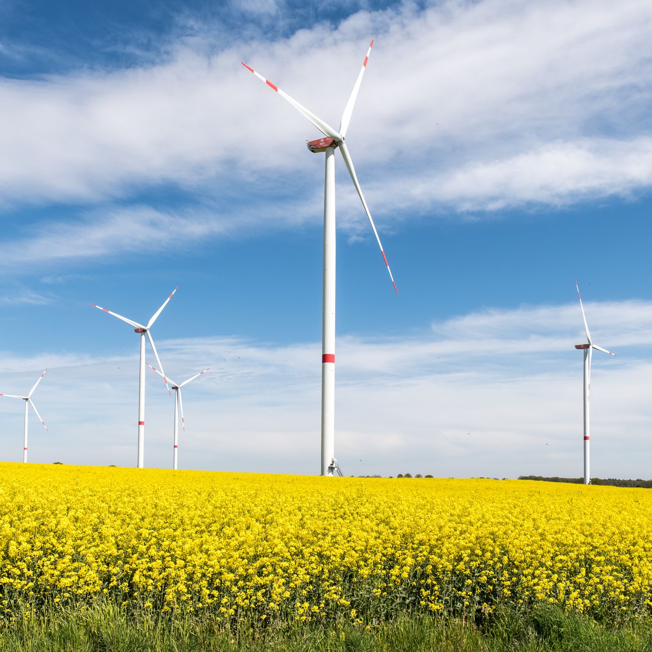 Introduction to Artificial Intelligence in Renewable Energy