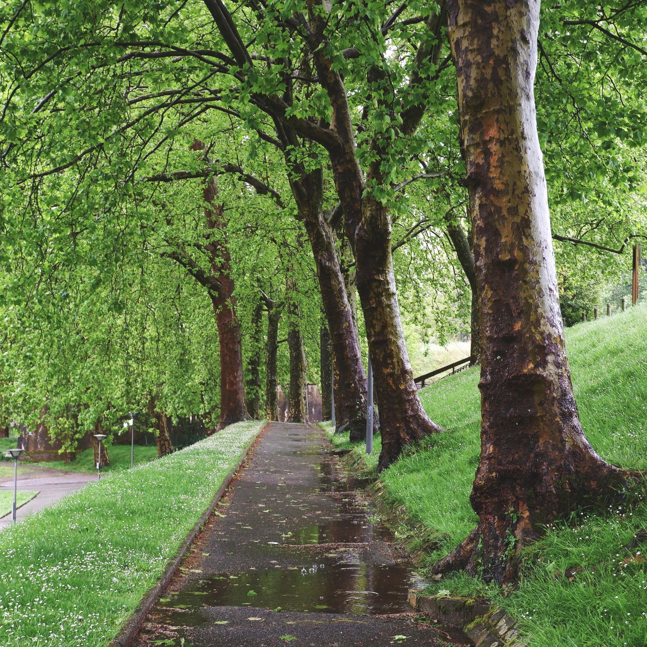 Unit 3: Hedge Effectiveness Assessment