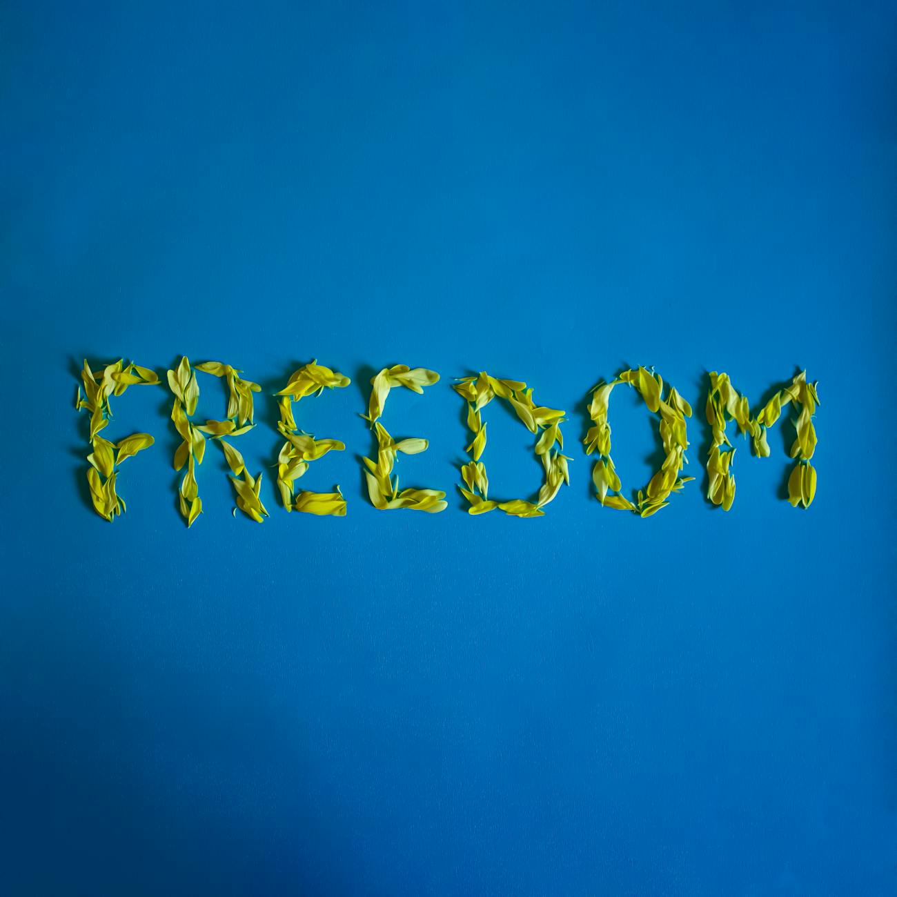 Censorship and Freedom of Expression