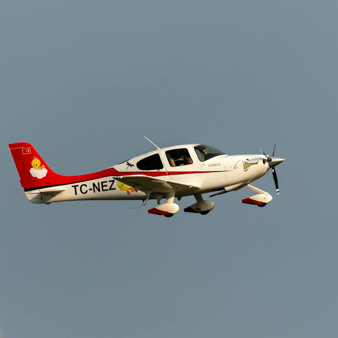 Communication and Teamwork in Aviation