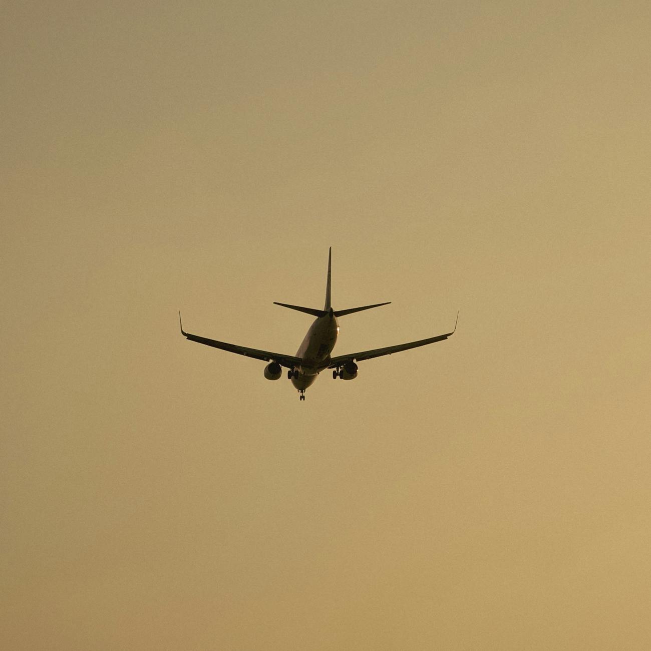 Crisis Management and Aviation Safety