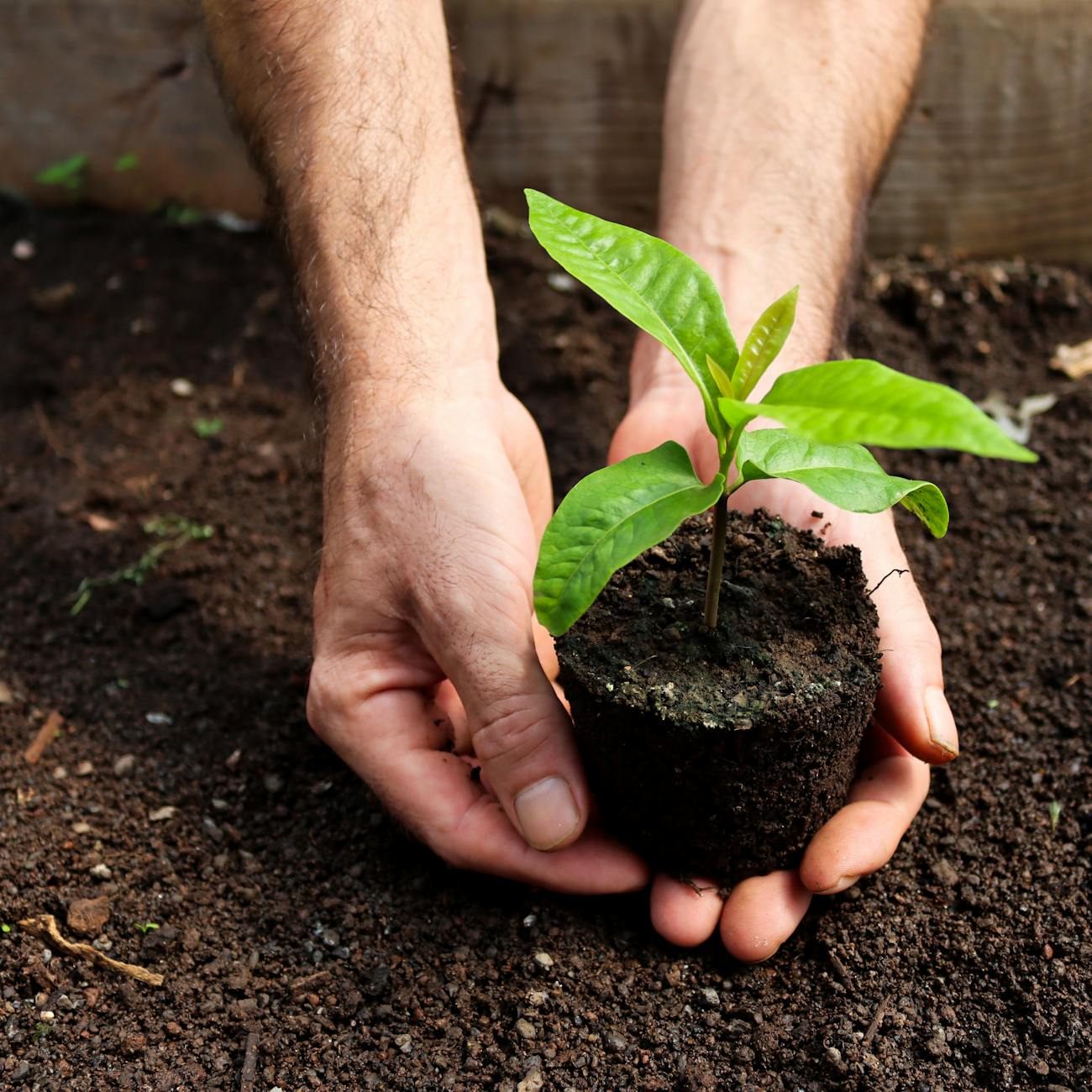 Hydrology and Soils