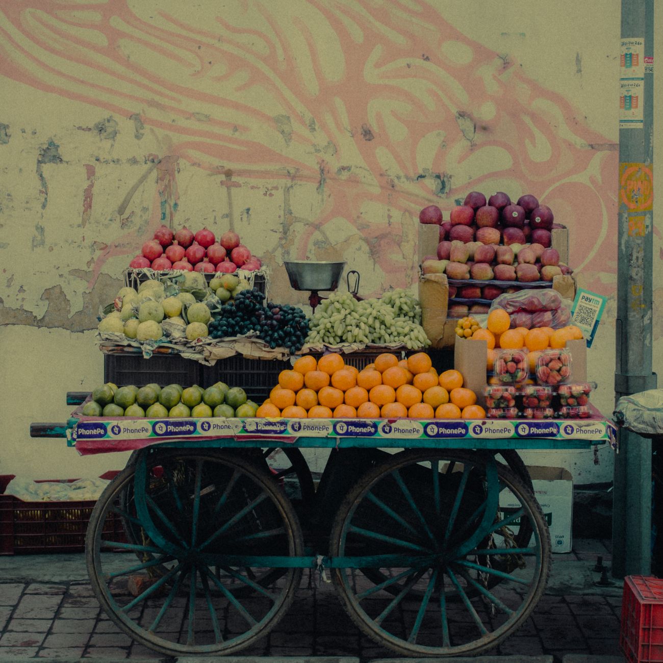 Global Food Issues