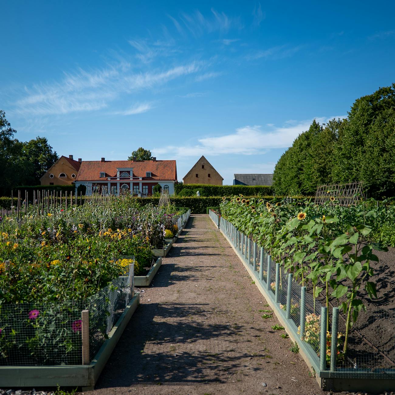 Design Principles and Elements in Therapeutic Gardens