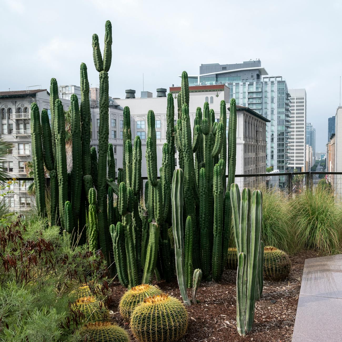 Designing for Accessibility and Inclusivity in Therapeutic Gardens