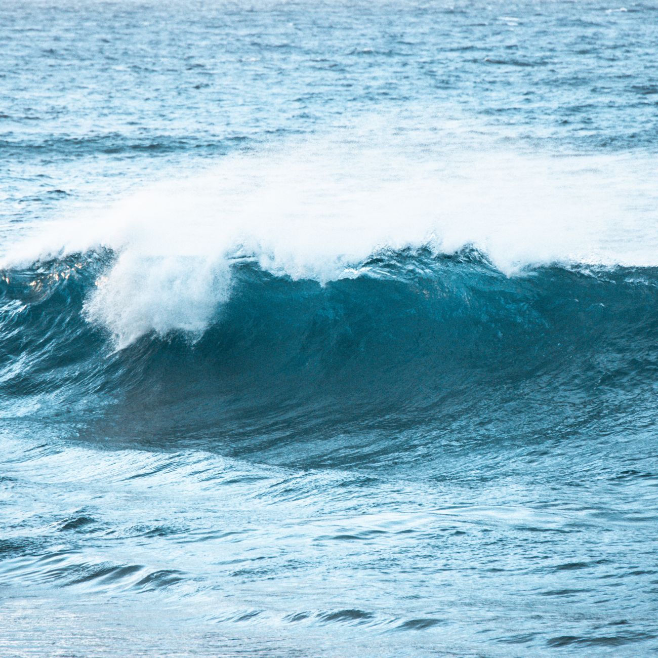 Psychosocial Aspects of Ocean Therapy