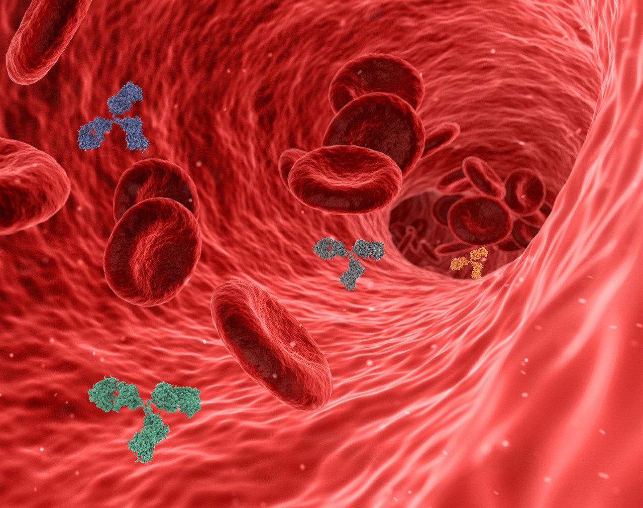 AI Techniques in Antibody Design
