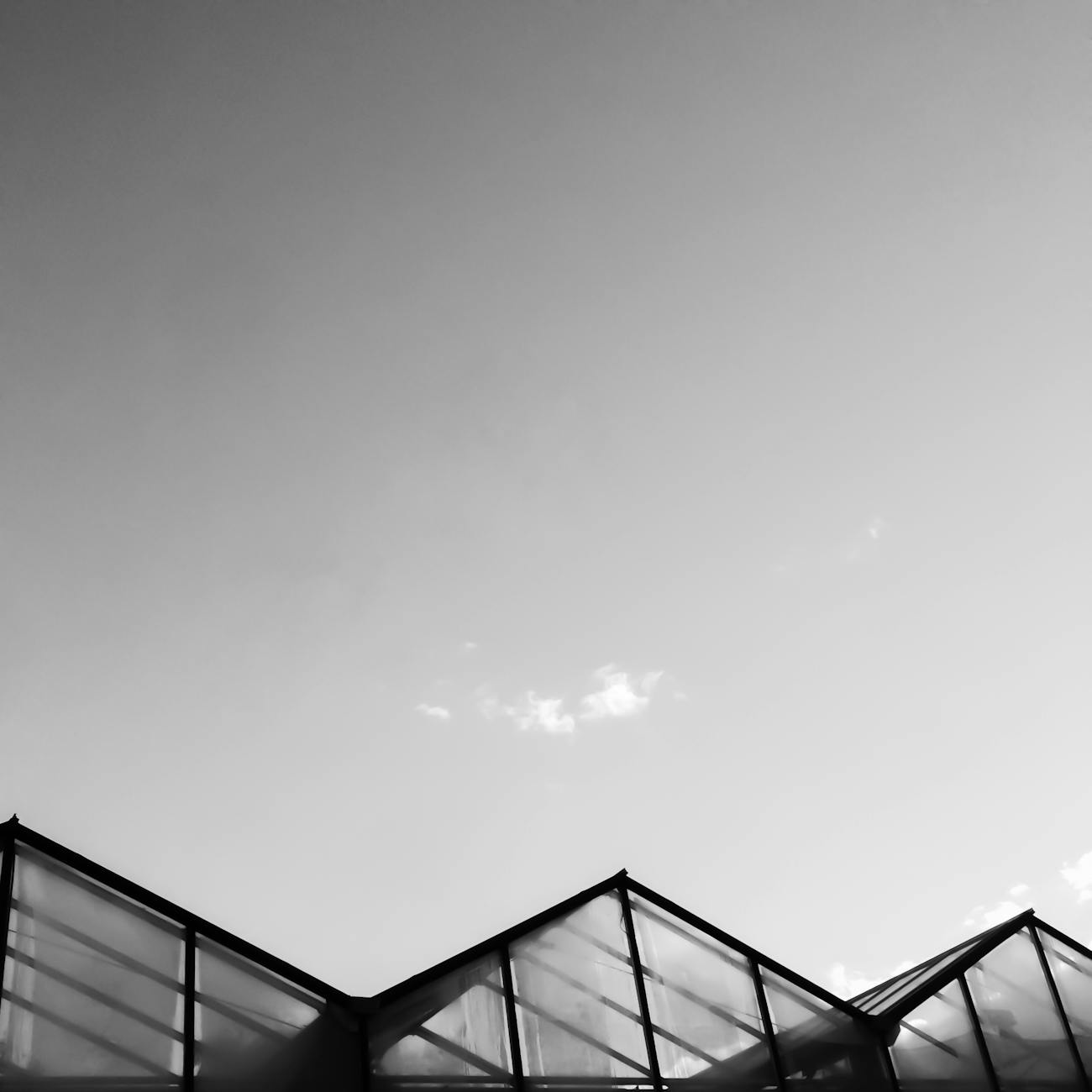 Lighting Design for Greenhouses