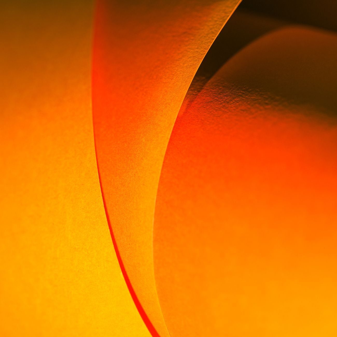 Pulp and Paper Safety and Regulations
