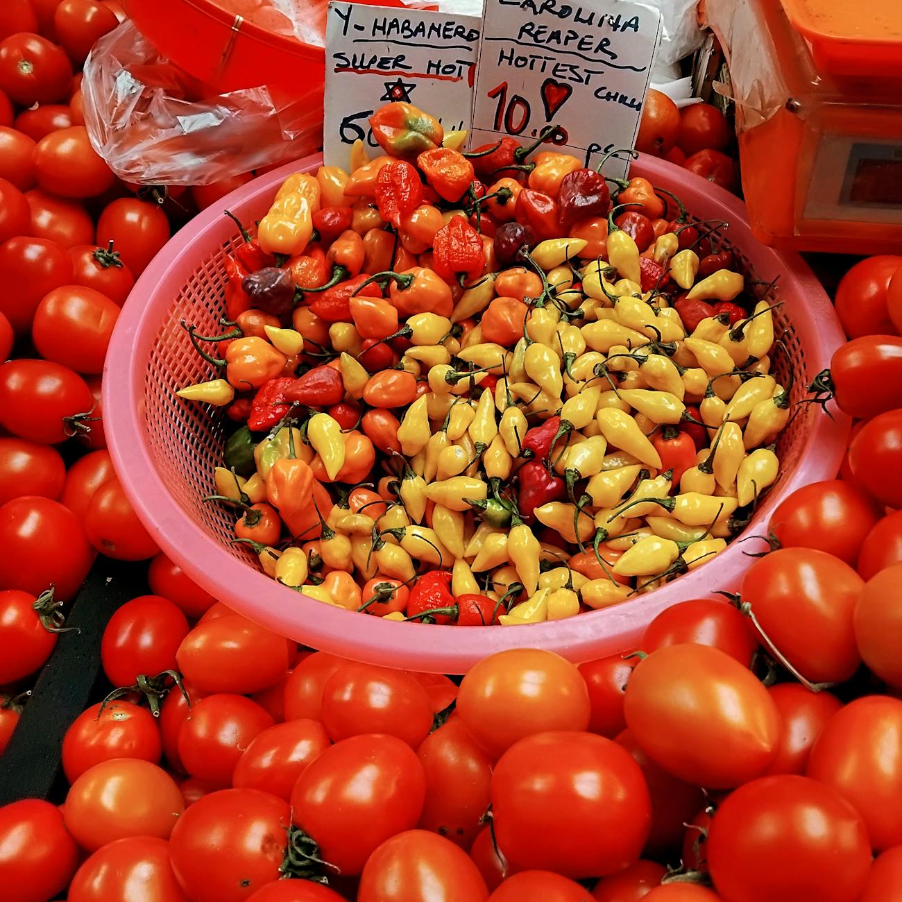 Food and Health