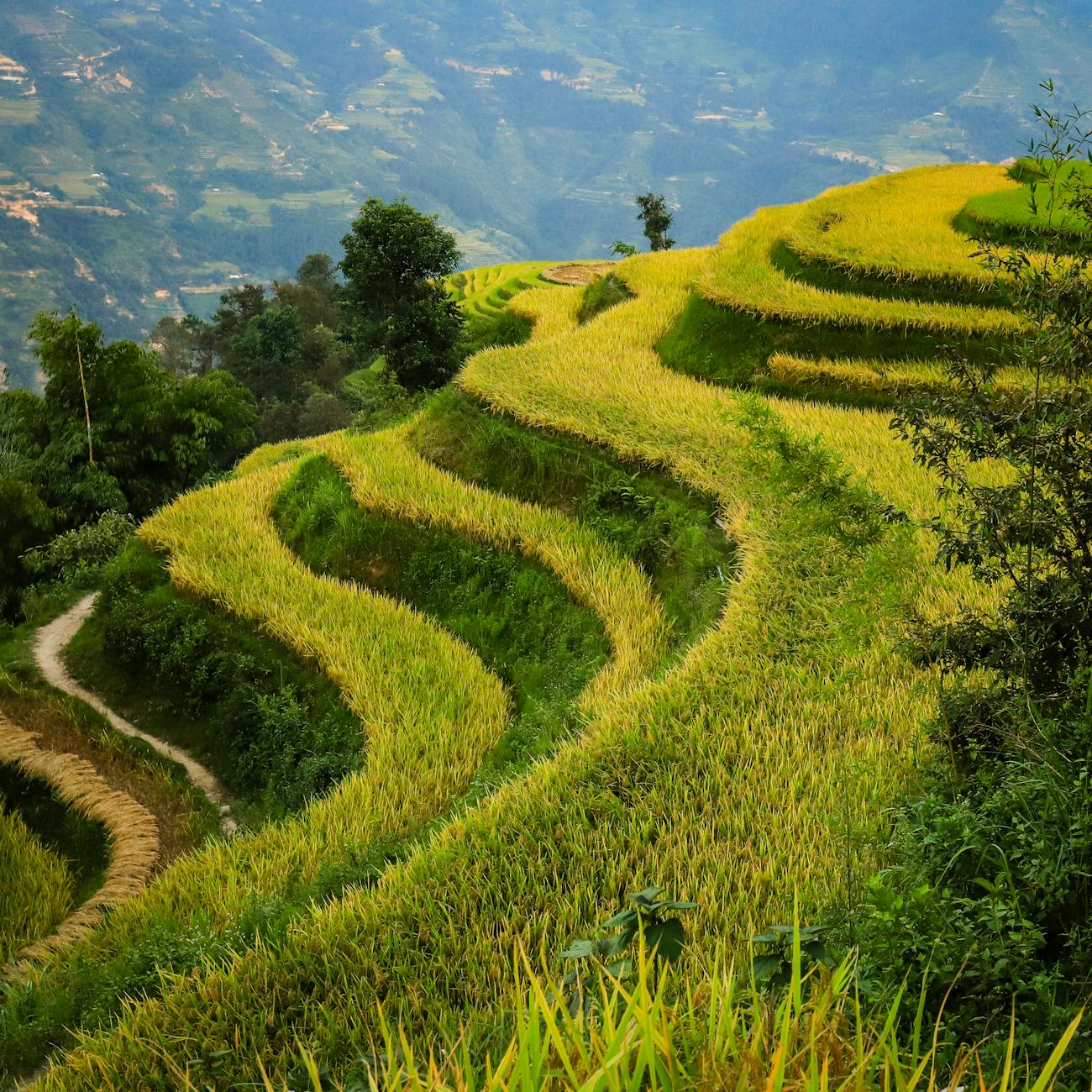 Cultural Perspectives on Nature