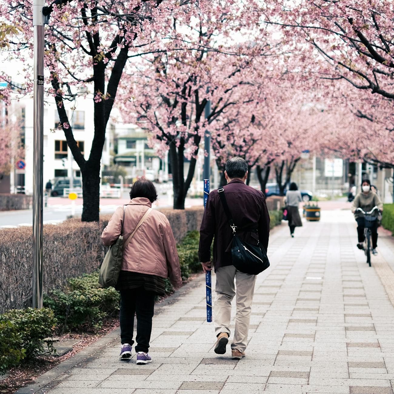 Physical Activity and Exercise Prescription for Older Adults