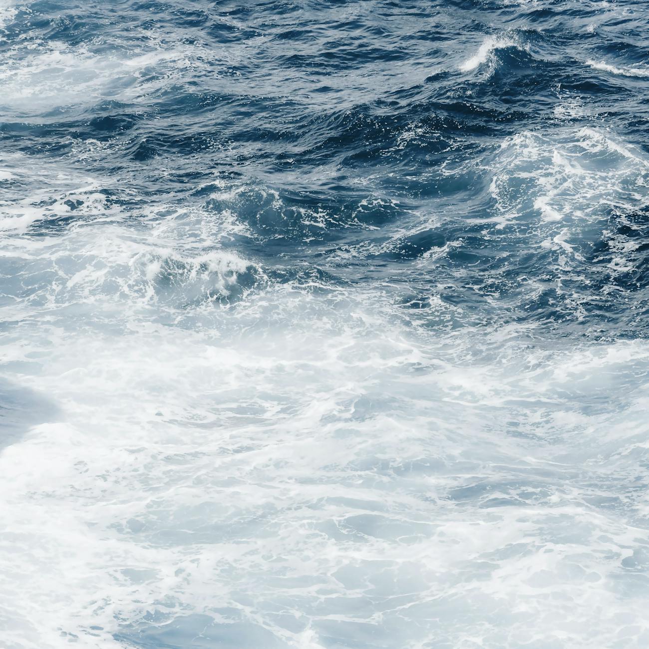 Ocean Therapy Interventions and Techniques
