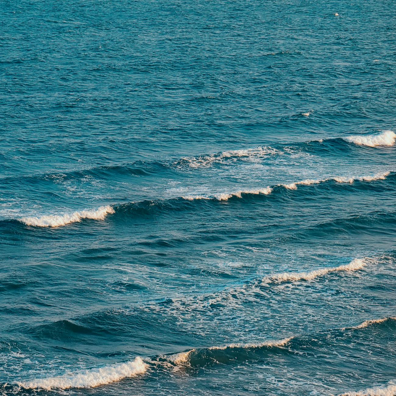 Cultural Competence in Ocean Therapy Practice