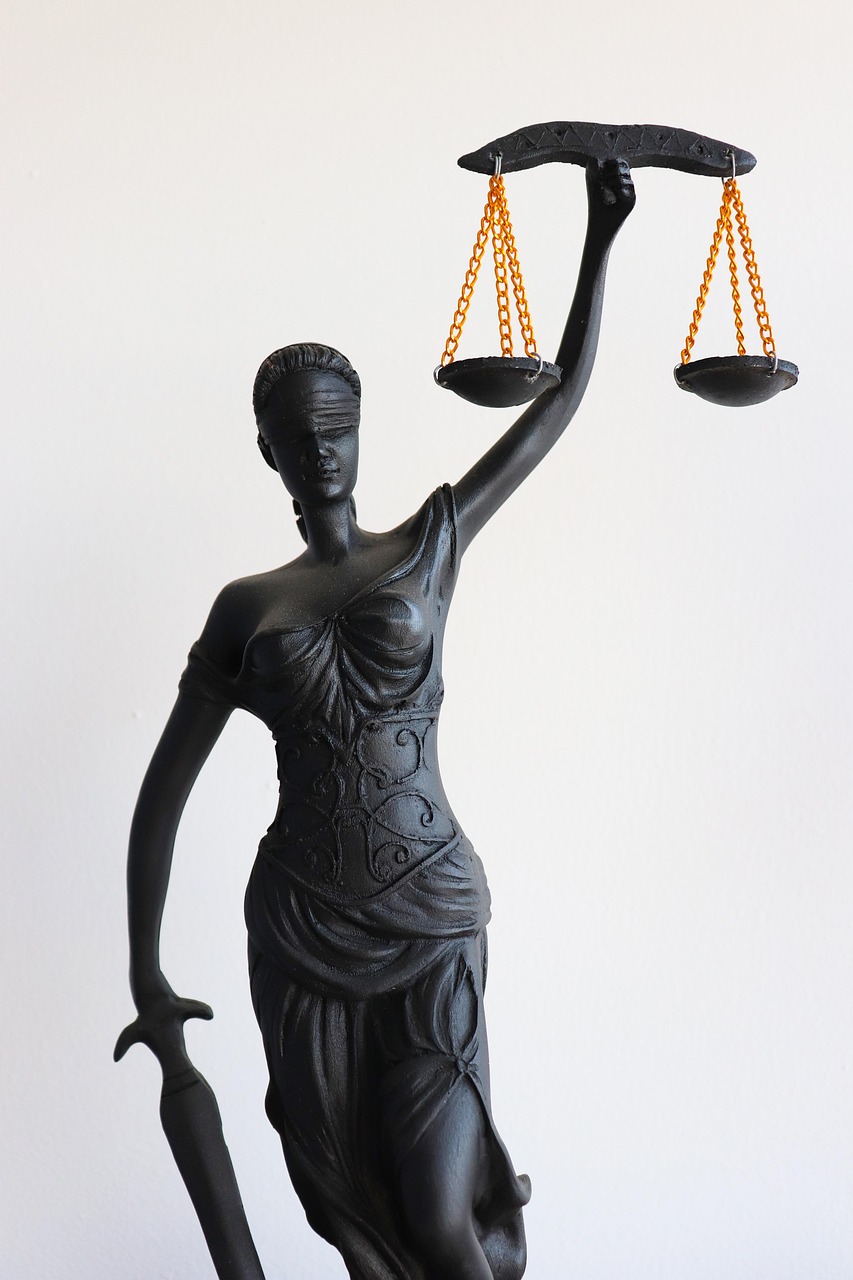 Refugee Rights and Responsibilities