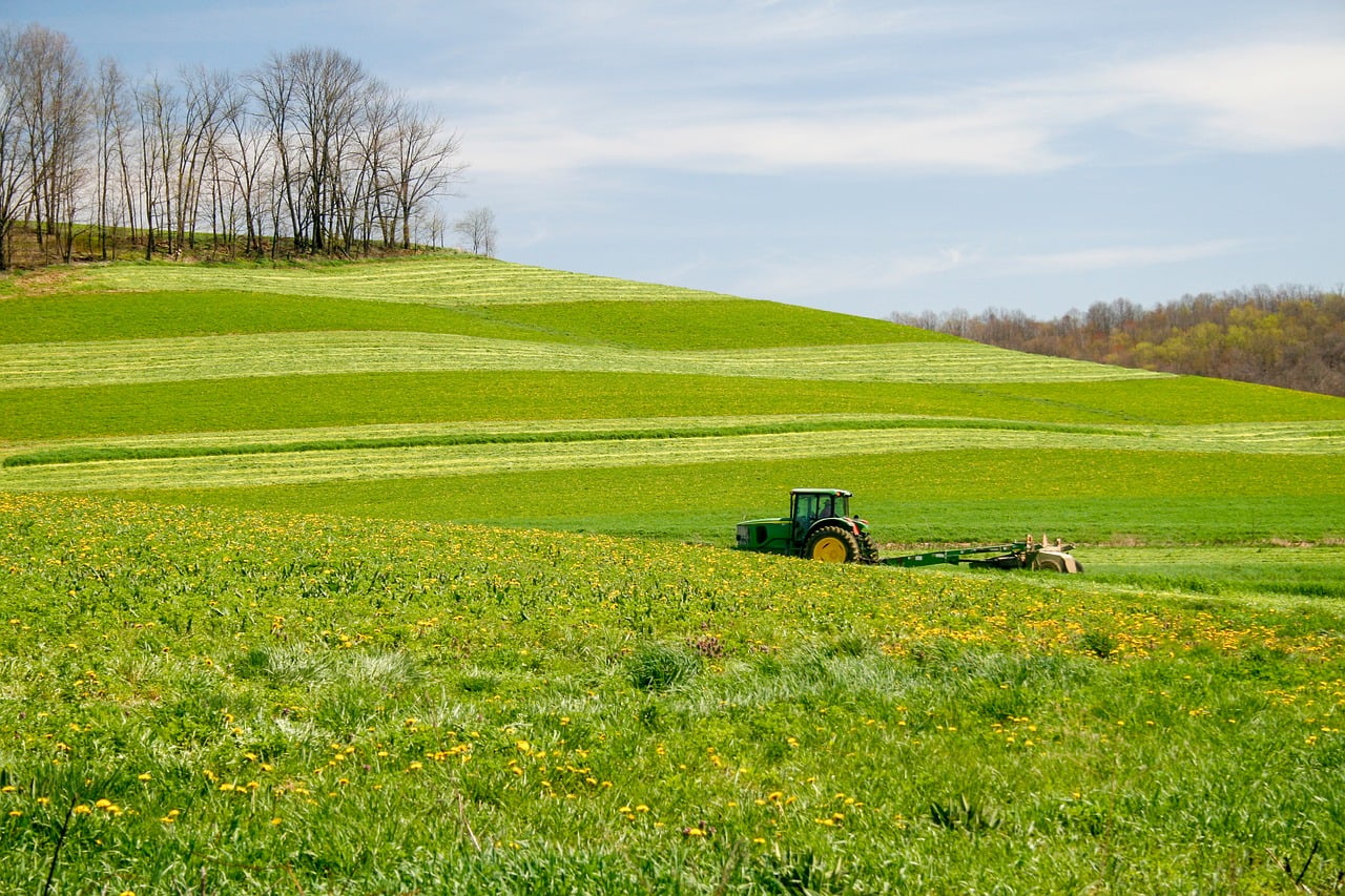 Ethics and Boundaries in Pastoral Care