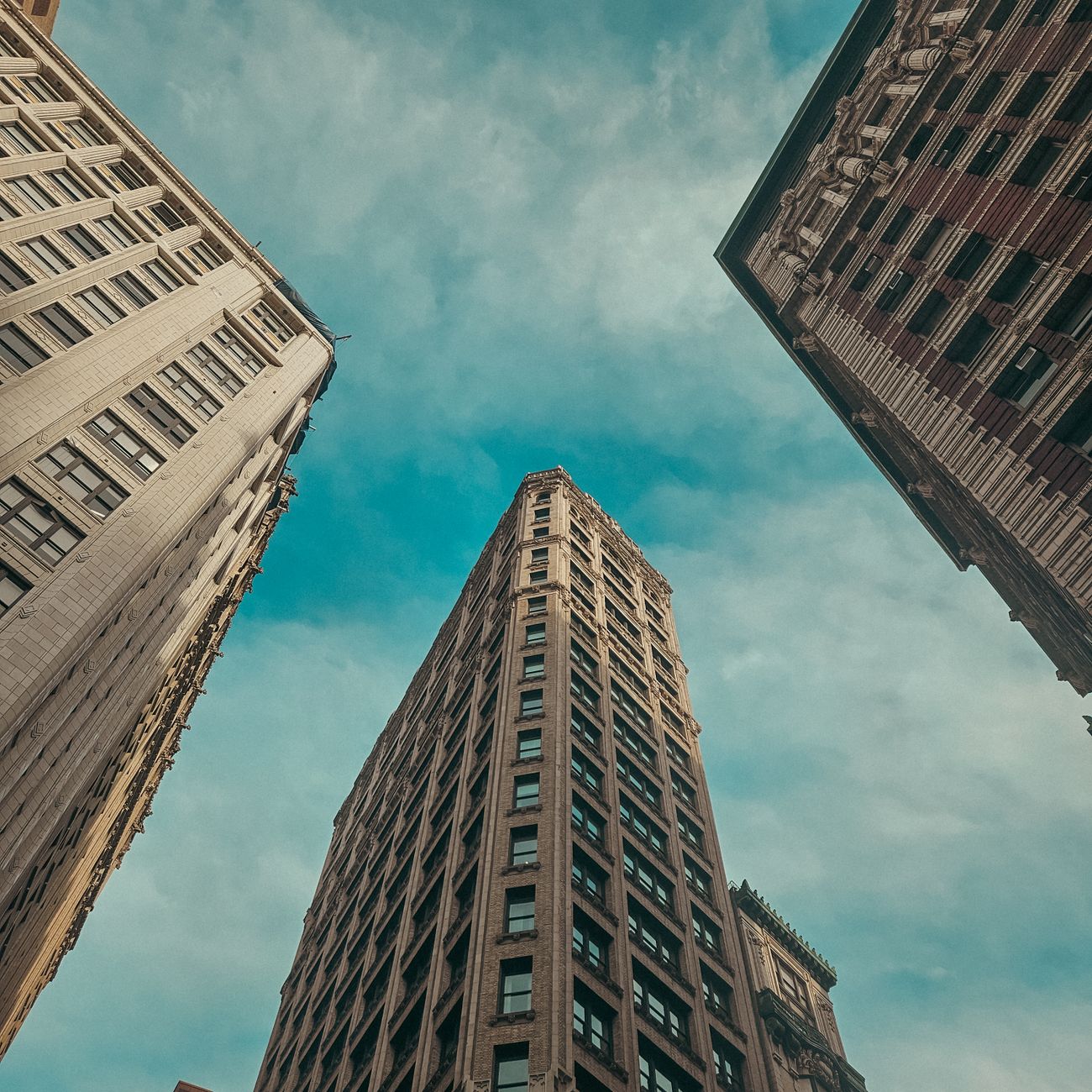 Liabilities and Equity
