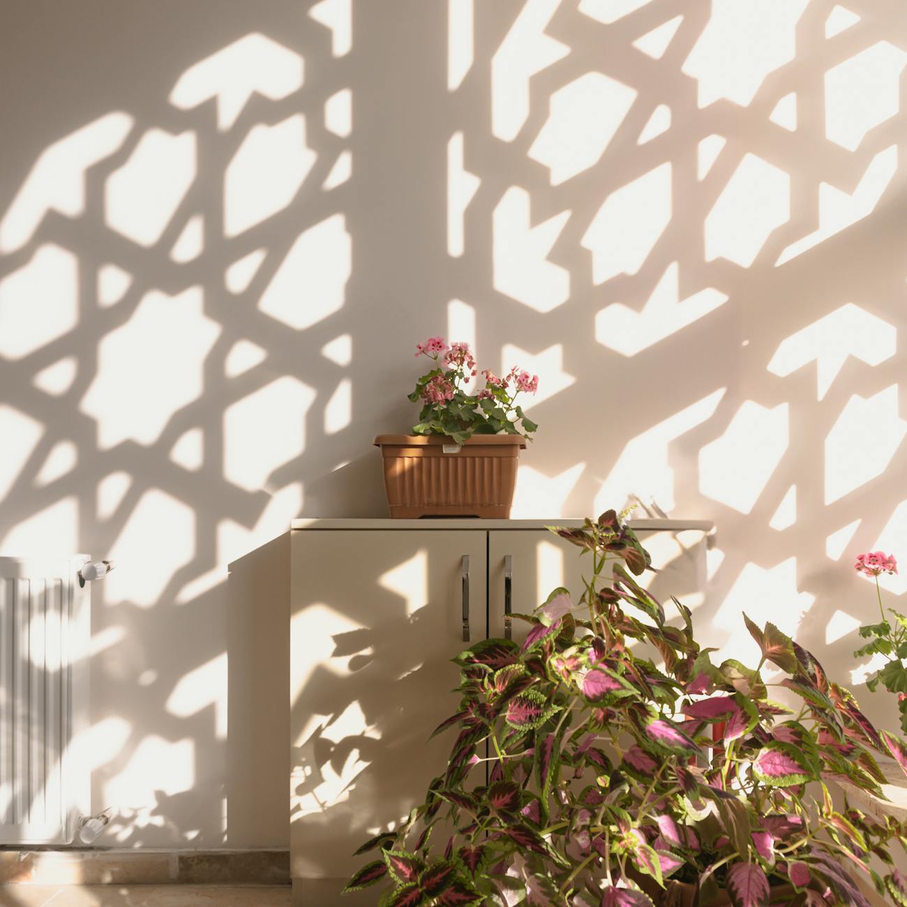 Daylighting Principles