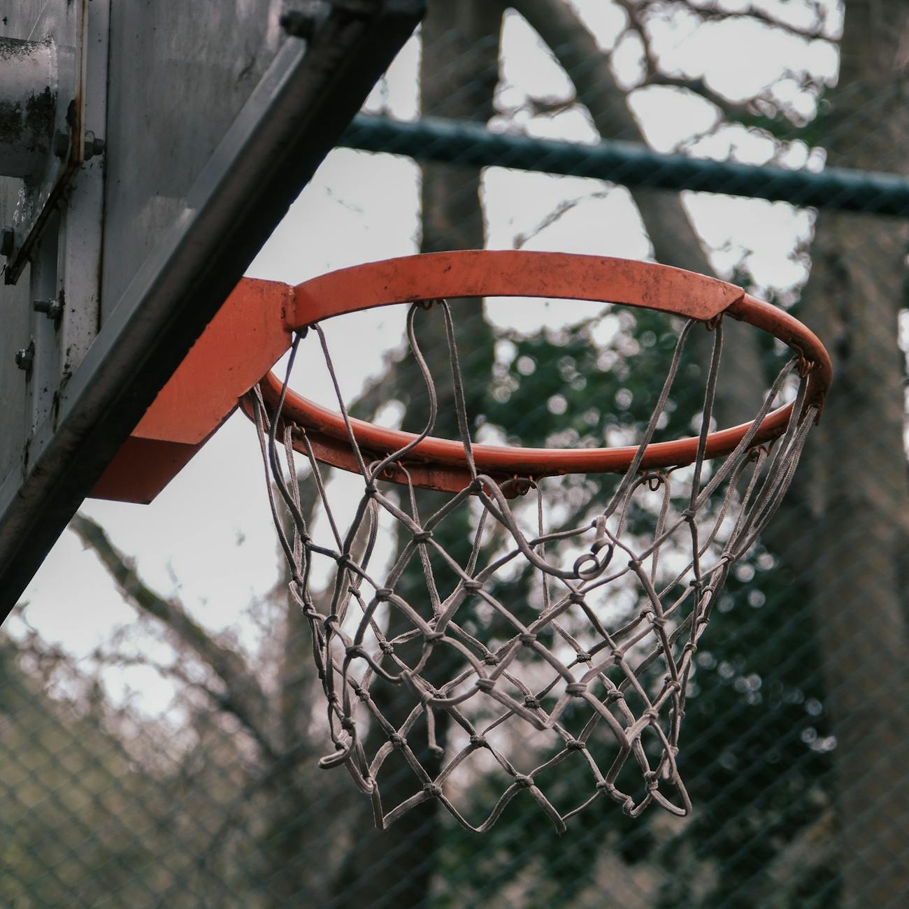 Legal and Ethical Issues in Adaptive Sports Coaching