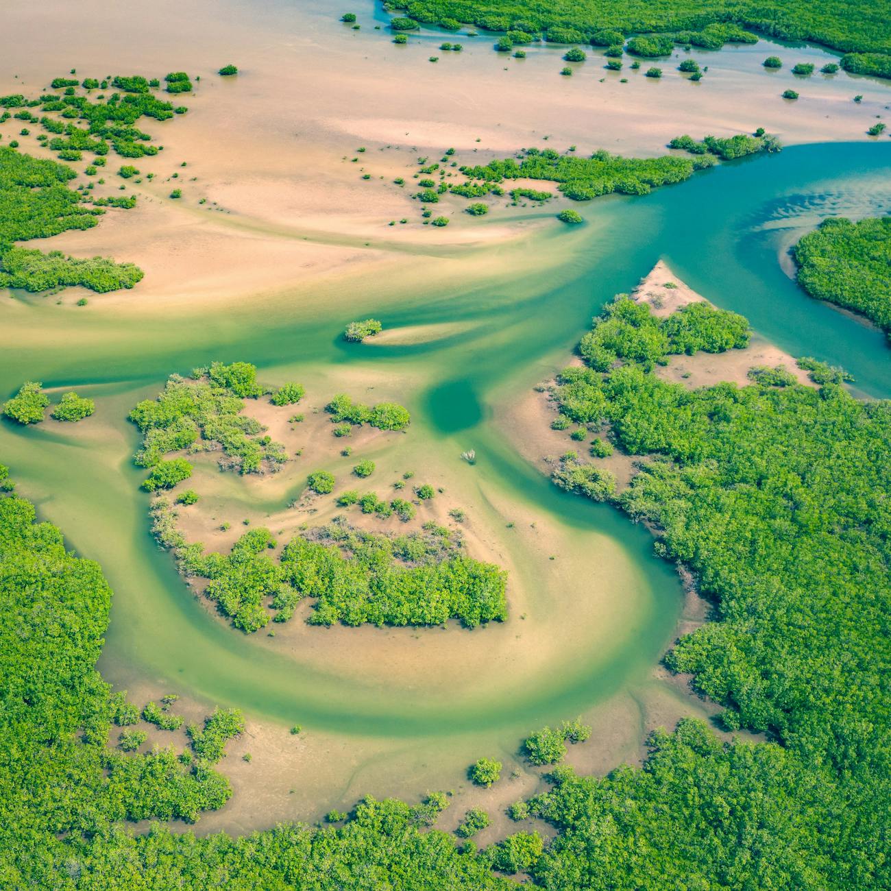 Marine Ecosystems and Biodiversity