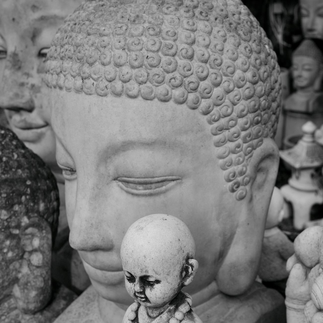 Buddhist Philosophy