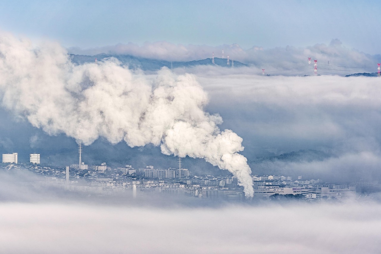 Biomass Pyrolysis for Carbon Materials Production