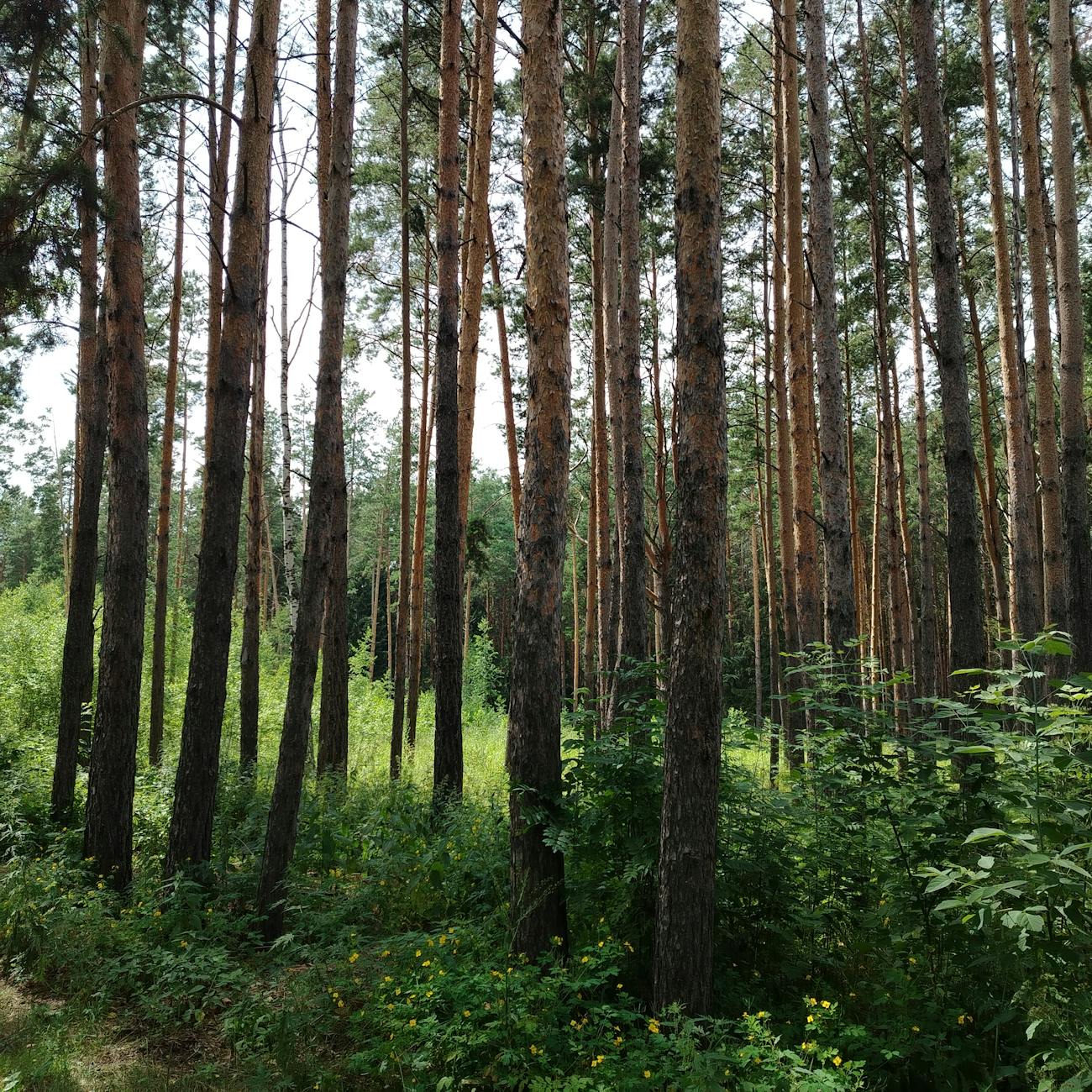 Environmental