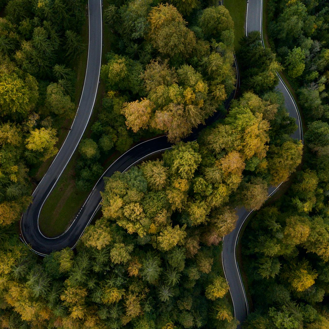 Performance Metrics and Evaluation for Asset Management