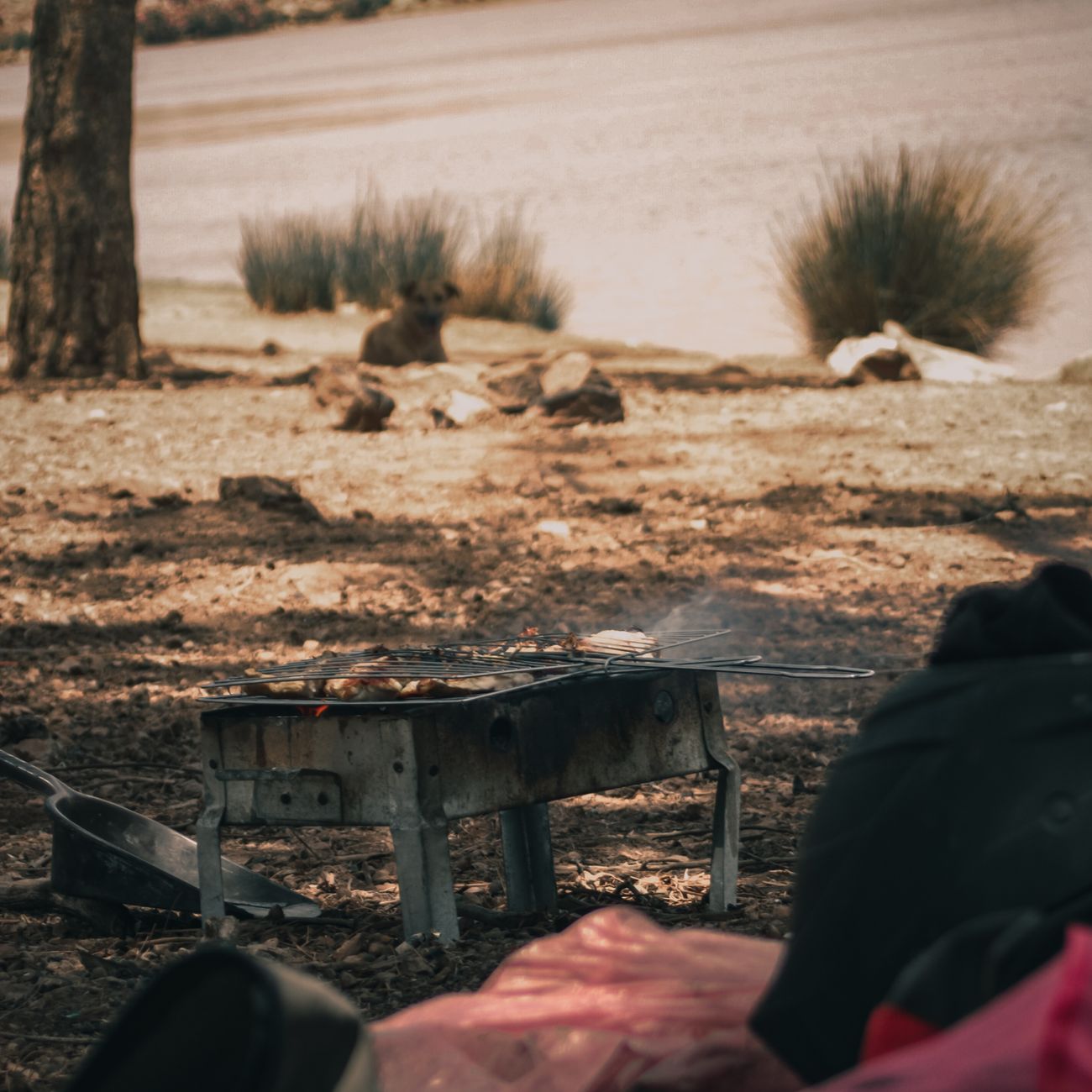 Planning and Procurement for Expedition Cooking